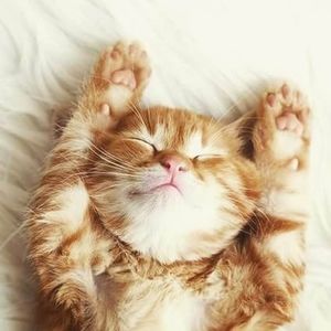 Meet your Posher, Vicky